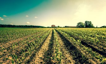 【アメリカ】ペプシコ等、連邦両院に気候スマート農業支援専門家の増員要請。農家支援がカギ