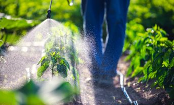 【アメリカ】EPA、農業用除草剤の規制強化へ。生物多様性影響緩和。パブコメ募集