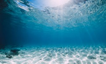 【アメリカ】海底資源採掘は海洋生態系と人間生活に悪影響。論文発表。連邦と州で禁止立法進む
