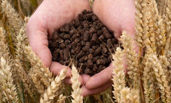 【イギリス】ネスレ、カカオ殻から小麦肥料生産。有機肥料と食品廃棄物有効活用でCO2減