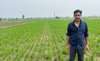 【インド】バイエル、零細農家で水耕栽培から乾田直播への移行促進。環境負荷低減