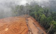 【国際】Ceres、世界大手53社の森林破壊対策評価結果発表。日本企業も1社