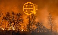 【国際】2025年異常気象の経済損失33兆円、エルニーニョにも強い警戒感。アリアンツ