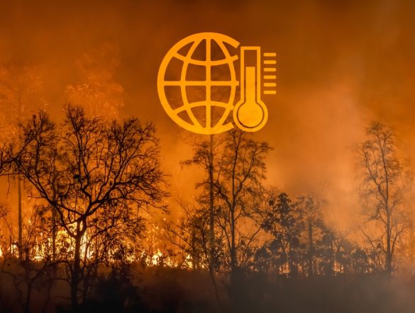 【国際】2025年異常気象の経済損失33兆円、エルニーニョにも強い警戒感。アリアンツ