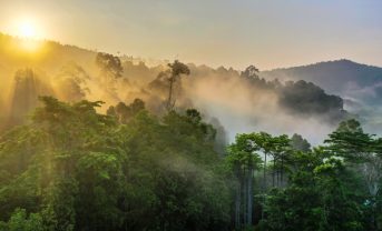 【国際】RAN、消費財・食品10社の森林・人権ランキング2023発表。日清の評価依然低い