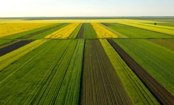 【国際】COP28、リジェネラティブ農業転換に134ヶ国署名。2030年1.6億ha。総額3300億円動員へ