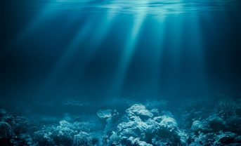 【国際】NGO、海底資源採掘論文を分析。金融機関に海底資源開発への支援中止要請