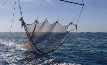 【国際】底引き網漁、CO2を大量に大気中に放出の可能性。科学誌論文