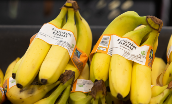 【イギリス】セインズベリー、バナナ農家への公正な賃金支払い開始。共同宣言を3年前倒し
