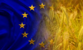 【EU】欧州委、農家の行政負担減で政策パッケージ提案。小規模農家に配慮。農業環境改革立て直し