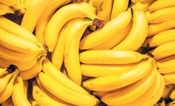 【国際】FAO、バナナ生産者リスク協議。感染症TR4蔓延。気候変動、地政学的リスクも