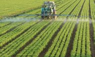 【国際】UNEP、途上国5カ国農家で農薬・プラスチック削減プログラム開始。560億円予算