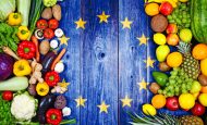 【EU】欧州委、農業・水産業のみTCTF制度存続。エネルギー補助金特別扱いは終了へ