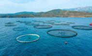 【国際】魚介類の養殖量が漁獲量を史上初めて上回る。FAO年次報告