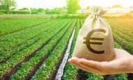 【EU】欧州委、加盟国の独自農家補助金上限を3年で3.7万ユーロに引上げへ。農家支援