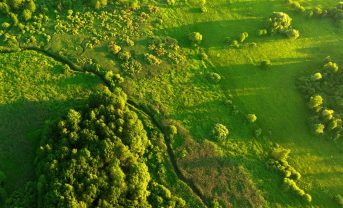 【EU】自然再生法、成立。農林業での生態系再生を加盟国に義務化。広範な影響