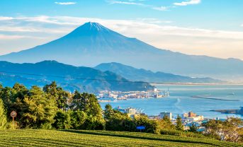 【日本】静岡県下の全13地銀・信金、脱炭素人材育成でコンソーシアム結成。全国初