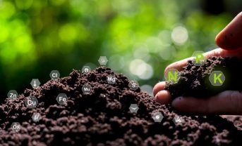 【EU】EU理事会、土壌モニタリング指令制定の方向性で合意。農業や不動産・インフラに影響