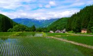 【日本】農水省、みどりの食料システム戦略技術カタログVer.4.0公表。大学や企業の技術も紹介