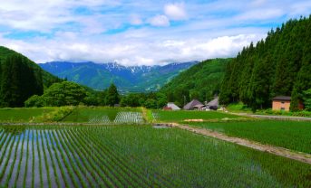 【日本】農水省、みどりの食料システム戦略技術カタログVer.4.0公表。大学や企業の技術も紹介