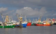【EU】北東大西洋漁業委員会海域の漁業管理強化規則が成立。漁具回収義務やカメラ監視等