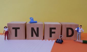 【国際】TNFD、アダプターが半年で30%増。事業会社と金融機関向けセクターガイダンス発行も