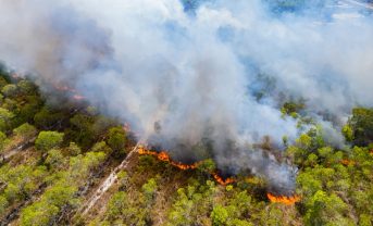 【国際】山火事のGHG排出量、EU全排出量の2倍。FAO報告。カナダ山火事は日本以上