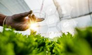 【EU】欧州委、バイオ由来プラスチック包装材の使用促進で意見募集。PPWR第8条
