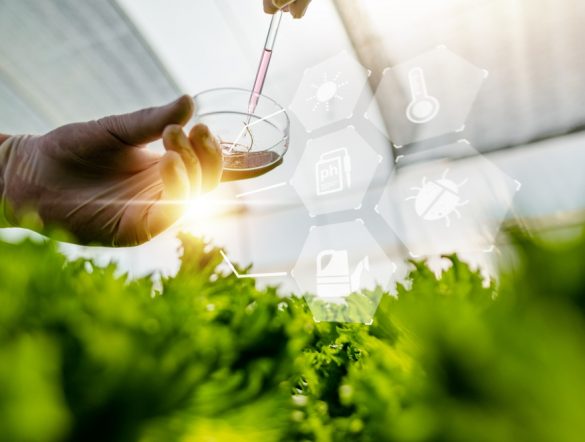 【EU】欧州委、バイオ由来プラスチック包装材の使用促進で意見募集。PPWR第8条