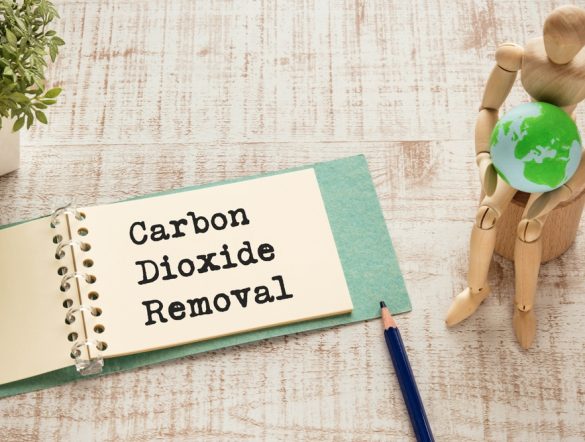 【国際】世界経済フォーラム、CDR技術市場動向レポート発表。マイクロソフト牽引