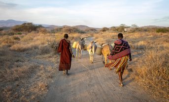 【アフリカ】FAOとEU、畜産農家向け気候変動適応プログラム開始。予算82億円