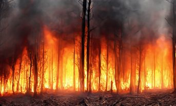 【国際】FAO、山火事対策ガイドラインを20年ぶりに改訂。2100年までのリスク増大に備え