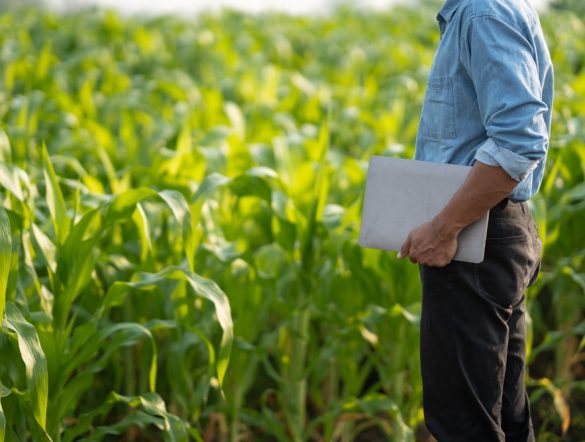 【国際】FAO、持続可能な農業・食料教育で大学等と連携。4原則掲げナレッジ普及へ