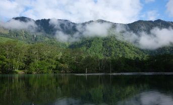 【日本】生物多様性増進活動促進法、施行日が2025年4月1日に決定。企業も実施計画認定可能に