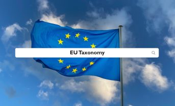 【EU】欧州委、EUタクソノミー関連法令の解釈FAQ文書発行。タクソノミー技術審査基準等