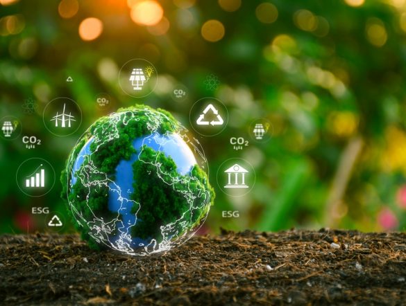 【国際】CBD COP17、エレバン・パスウェイ採択。2030年目標の達成加速へ。有害補助金に焦点