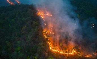 【国際】WMO、2024年気温上昇確定値発表。産業革命から1.55℃上昇。10年平均で達成目指す