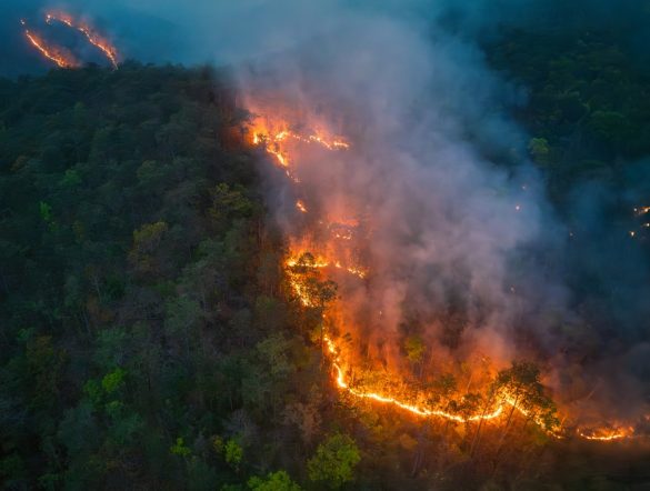 【国際】WMO、2024年気温上昇確定値発表。産業革命から1.55℃上昇。10年平均で達成目指す