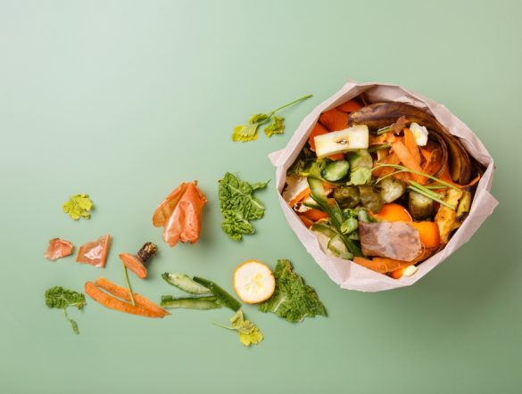 【日本】キューピーとカゴメ、野菜残渣のバイオ炭化で共同研究。農業有効性まで