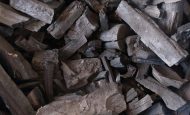 【カナダ】スエズ等3社、カナダ初のバイオ炭量産プラントが稼働開始。年産3万トン級