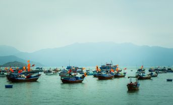 【中国】政府、IUU漁業取締強化の違法漁業防止寄港国措置協定 （PSMA）加盟。108カ国に