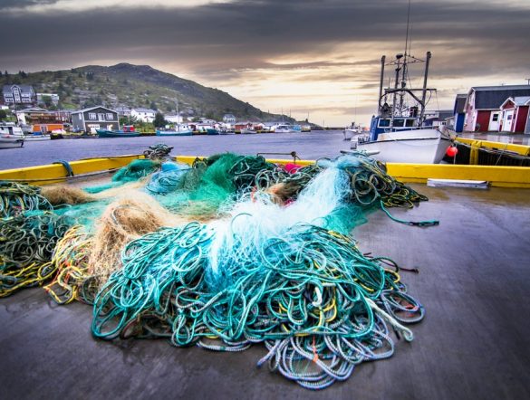 【国際】韓国、ガーナ、カメルーン、漁業の透明性に関する世界憲章にコミット。Our Ocean会議