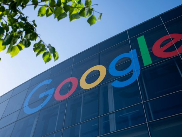 【国際】グーグル、生態系・自然資本AIスタートアップ15社を支援先選定。AI for Nature