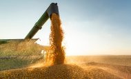 【国際】世界の食料価格指数、4月も上昇継続。関税摩擦がさらに重し。FAO