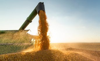 【国際】世界の食料価格指数、4月も上昇継続。関税摩擦がさらに重し。FAO