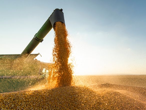 【国際】世界の食料価格指数、4月も上昇継続。関税摩擦がさらに重し。FAO