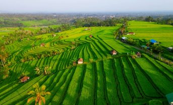 【インドネシア】政府、カーボンクレジットでゴールド・スタンダード認証を相互承認。第1号