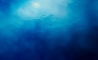 【国際】国連海洋会議、ニース海洋行動計画に向け最終調整。持続可能な海洋経済
