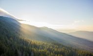 【国際】Business for Nature、2030年戦略発表。セクター別ロードマップ策定へ