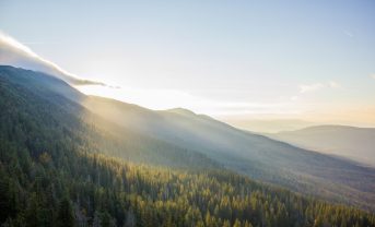 【国際】Business for Nature、2030年戦略発表。セクター別ロードマップ策定へ